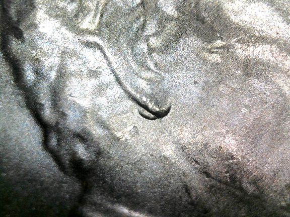 CRH-2018-D-DDO-Double-Ear.